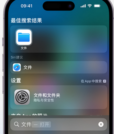 五原apple维修中心分享iPhone文件应用中存储和找到下载文件 