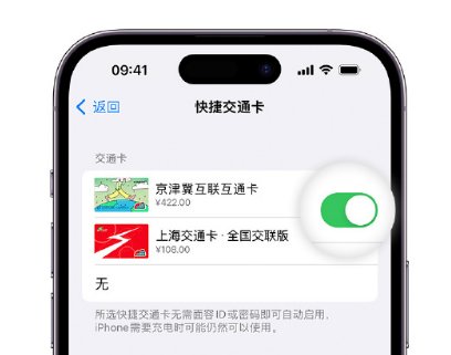 五原apple维修点分享iPhone上更换Apple Pay快捷交通卡手绘卡面 