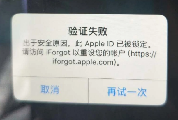 五原iPhone维修分享iPhone上正常登录或使用AppleID怎么办 