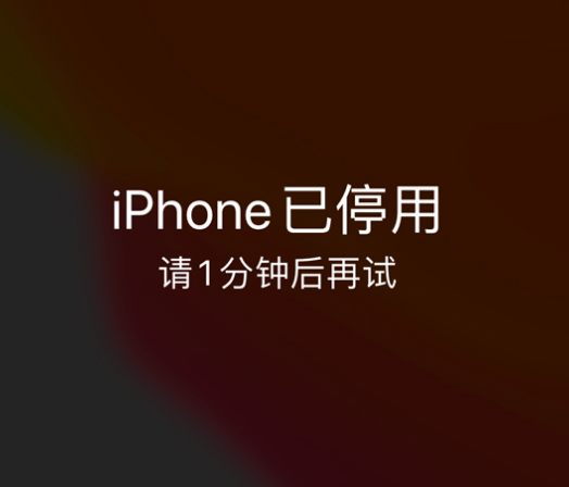 五原苹果手机维修分享:iPhone 显示“不可用”或“已停用”怎么办？还能保留数据吗？ 