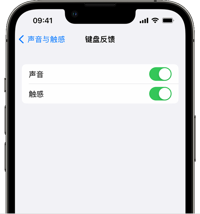 五原苹果14维修店分享如何在 iPhone 14 机型中使用触感键盘 