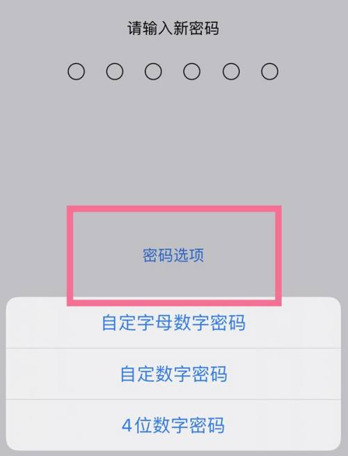 五原苹果14维修分享iPhone 14plus设置密码的方法 