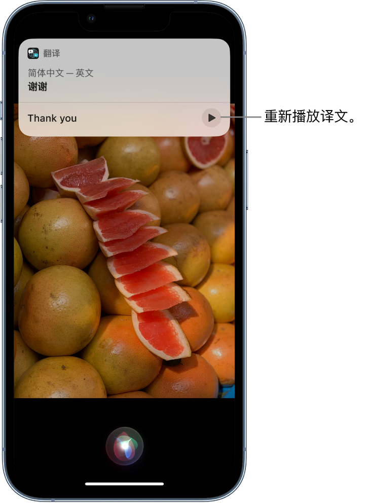 五原苹果14维修分享 iPhone 14 机型中使用 Siri：了解 Siri 能帮你做什么 