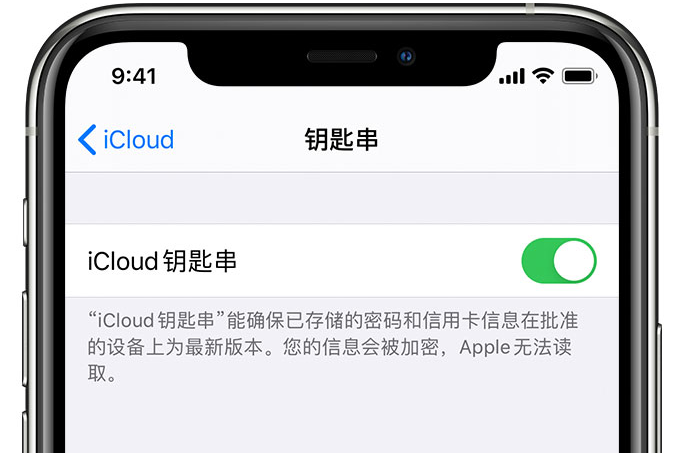 五原苹果手机维修分享在 iPhone 上开启 iCloud 钥匙串之后会储存哪些信息 