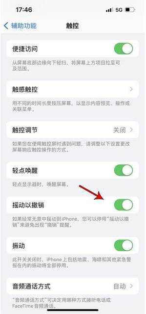 五原苹果手机维修分享iPhone手机如何设置摇一摇删除文字 