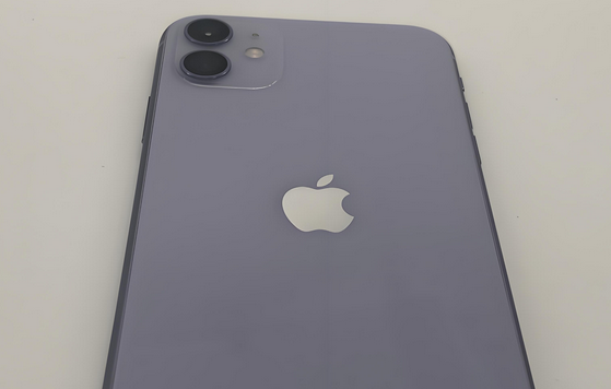 五原苹果11系统维修分享iPhone11手机系统崩溃无法开机如何解决 